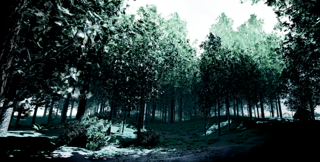 Forest Build