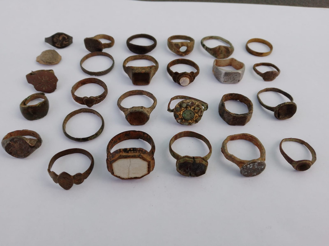 WS2023NOV225 (Ring)