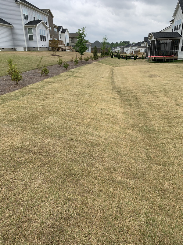 DD31C86D-3C63-48BF-B983-2F37B3D56D8B