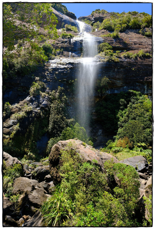 Paparoa NP: Paparoa Track (diciembre 2024) - Escapadas y rutas por la Nueva Zelanda menos conocida (41)