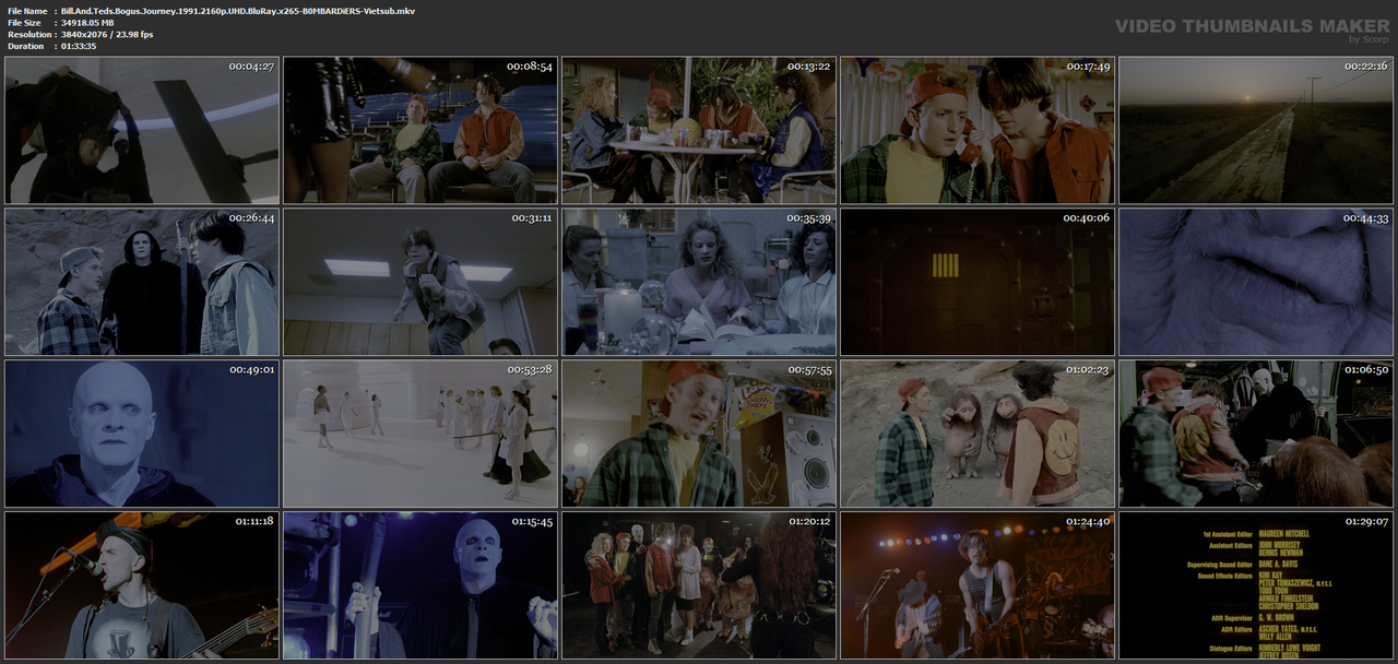 Bill.And.Teds.Bogus.Journey.1991.2160p.UHD.BluRay.x265-B0MBARDiERS-Vietsub.mkv