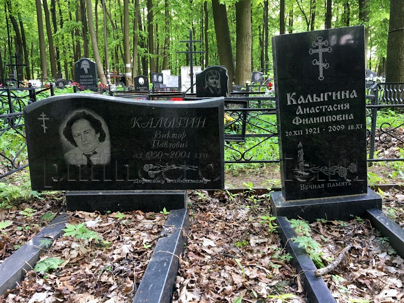 kalygin2