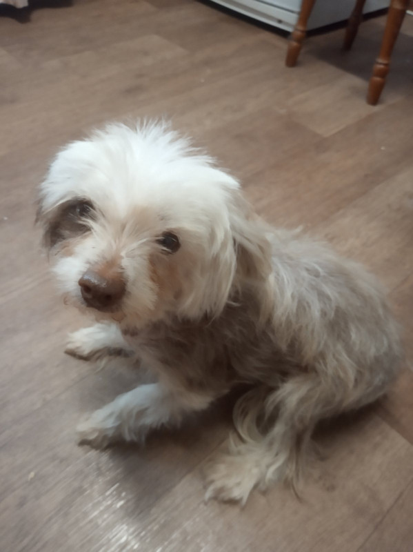 8A3DC858-74AC-4429-A695-C2BE3199EEA6