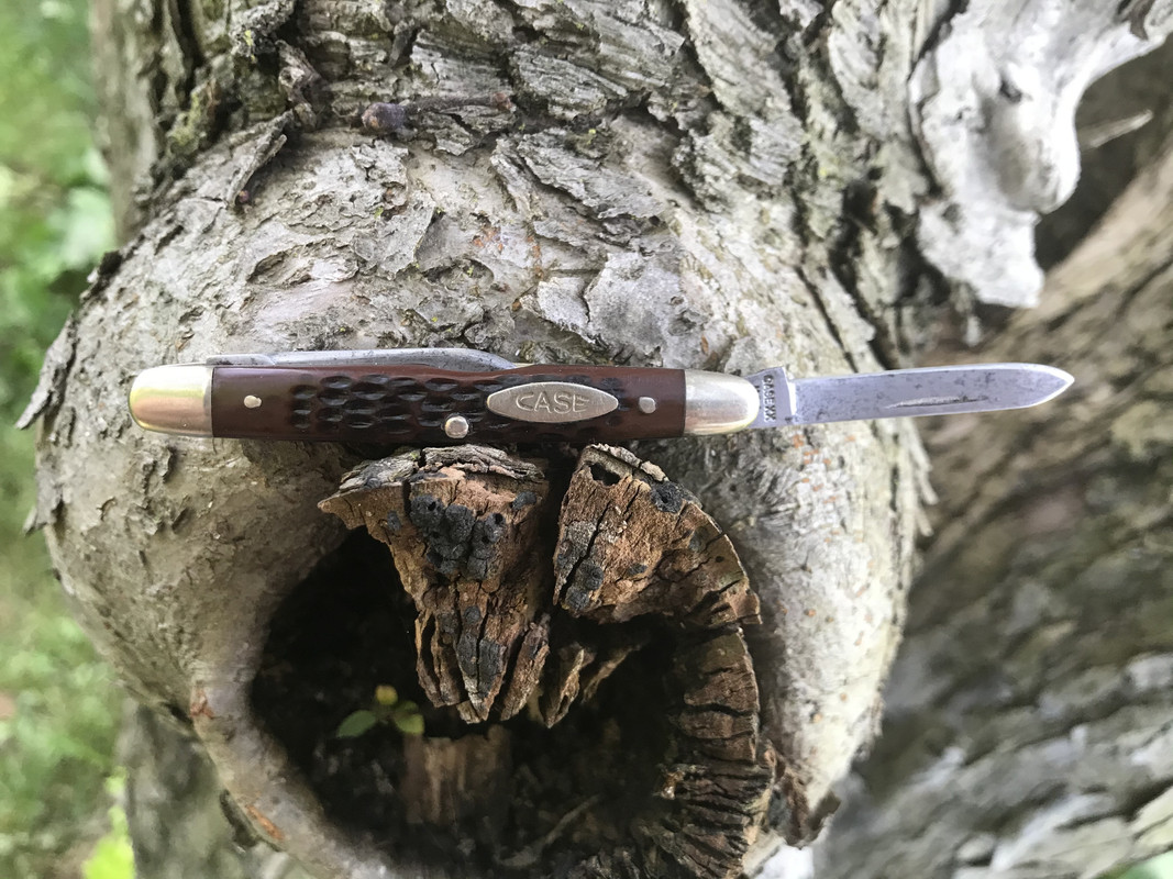 8F8BBFC0-76A0-4BF6-98B7-57C2BE5DC72B