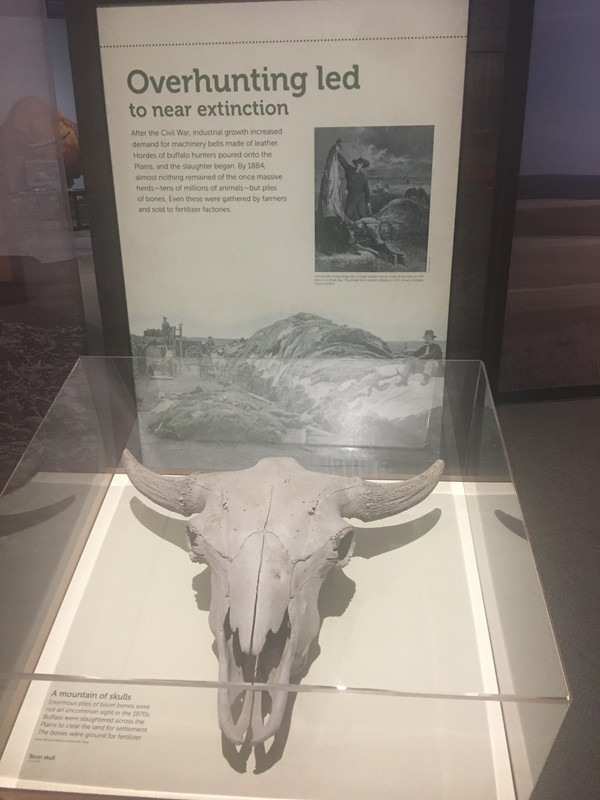 D197B756-9A28-4E05-A53E-05FD6C0D276F