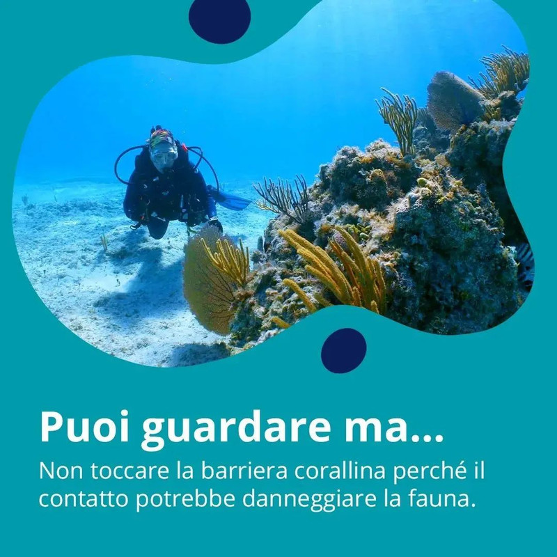 b-279093998_5113338435420669_1673165652473777120_n