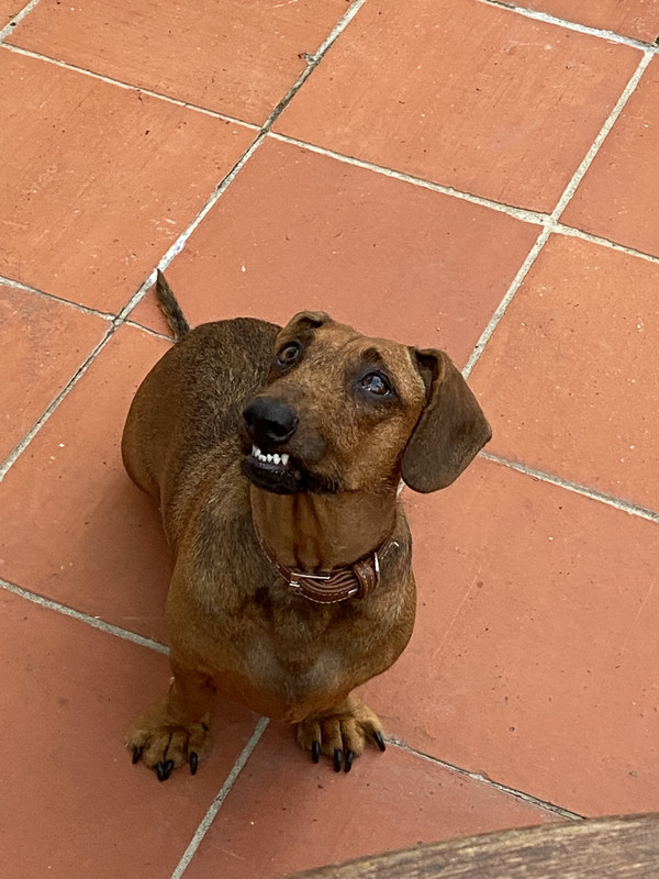 [Image: 7-E60-CE41-3153-474-E-B287-8-E9-D6-EF429-F2.jpg]