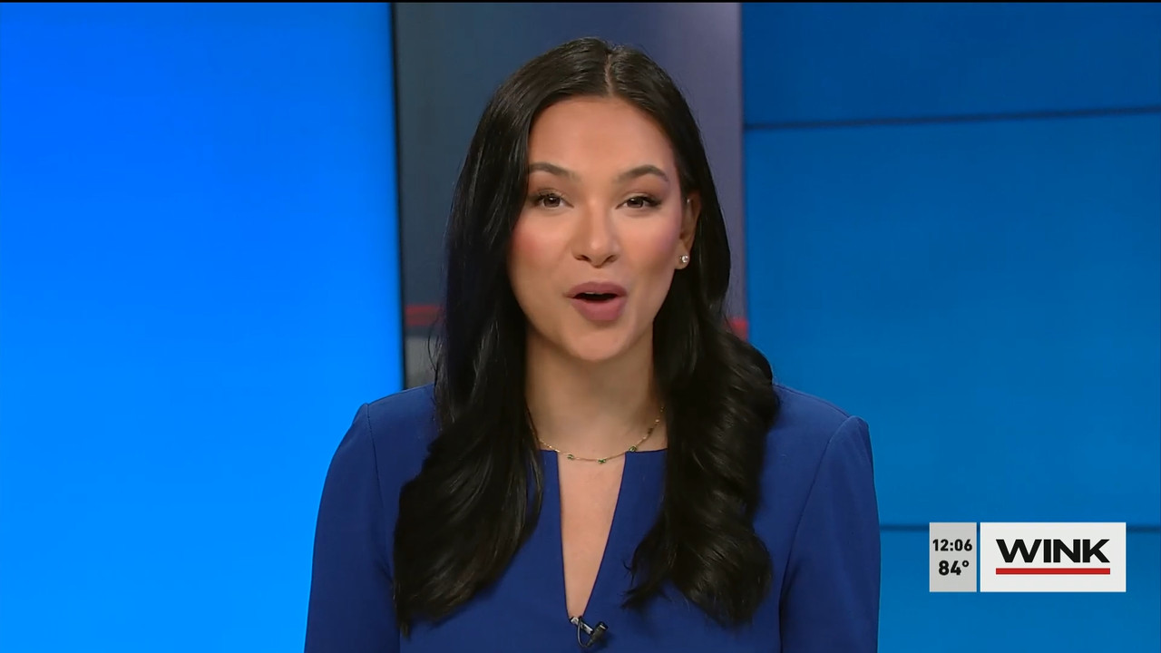 04.24 - 17.00.00 - The WINK Noon News  ᴺᵉʷ. Midday news update..ts_snapshot_12.45.486
