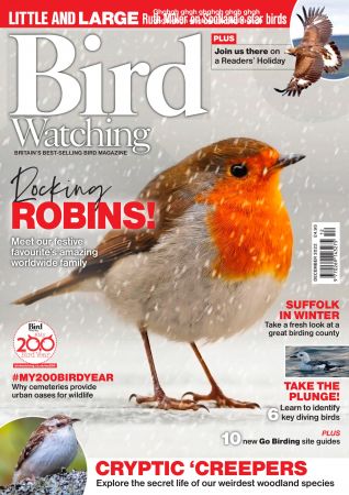 Bird Watching UK - December  2022