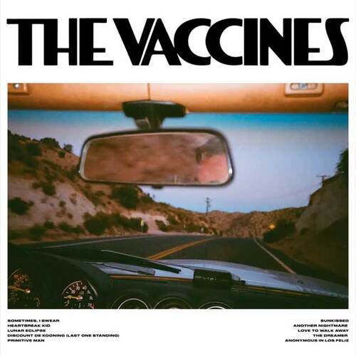 The Vaccines - Pick-Up Full Of Pink Carnations (2024) Mp3