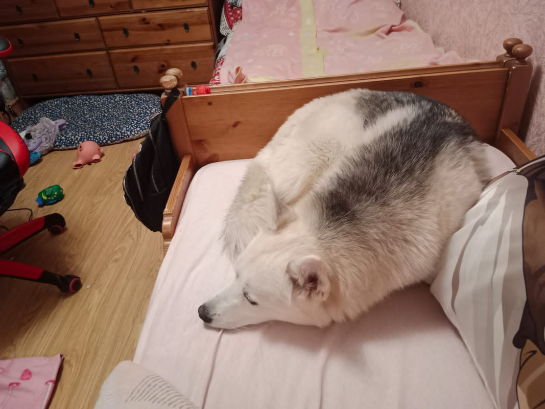 2582B7A4-9463-4FD3-8F9D-D274889A6ED0