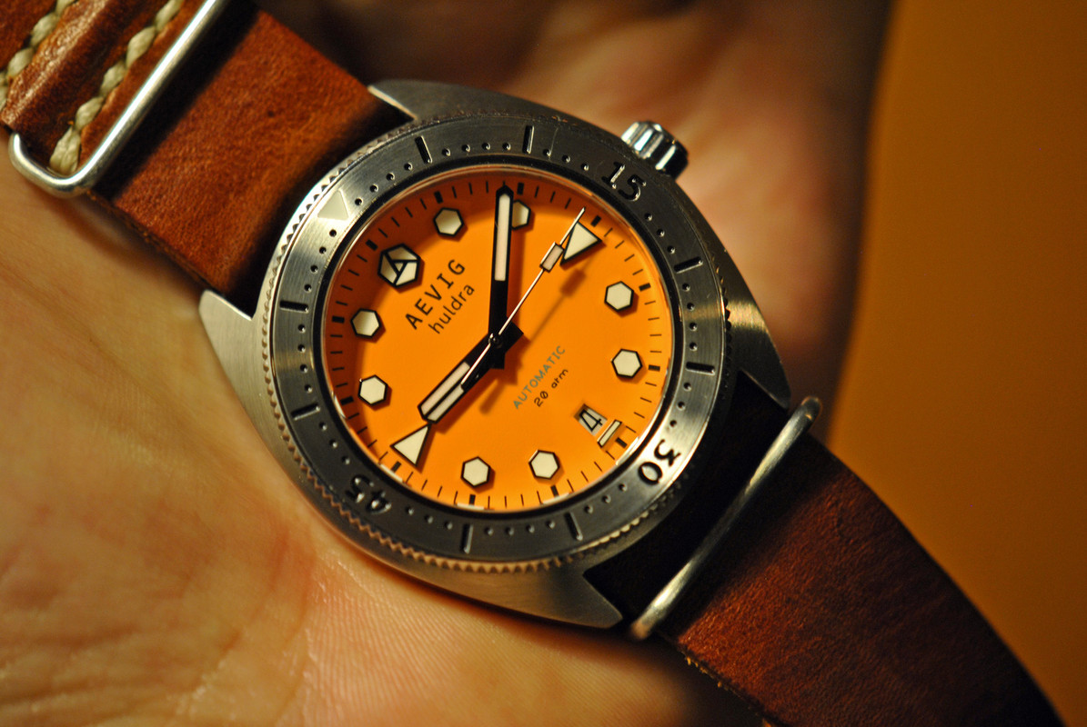 Aevig-(12)