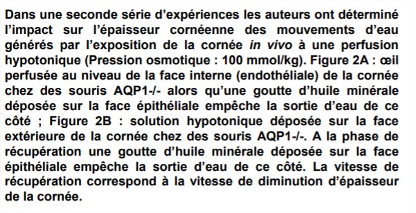 Microsoft PowerPoint - [Récupéré] - Google Chrome_15