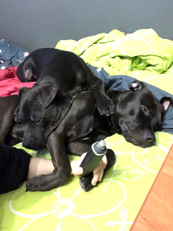 DCEFDFA1-4234-4E47-A78B-6EE8C52C5124