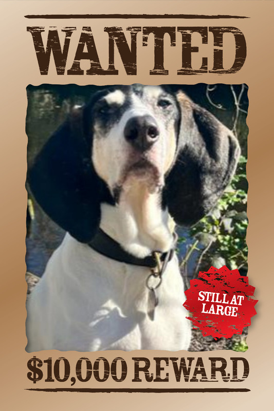 5B7809A4-DCA0-4312-B7F9-5A99B3596D36