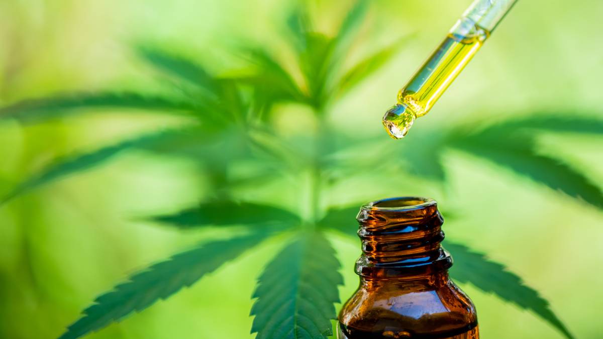 Gli studi scientifici non lasciano dubbi: il CBD è un alleato per la salute