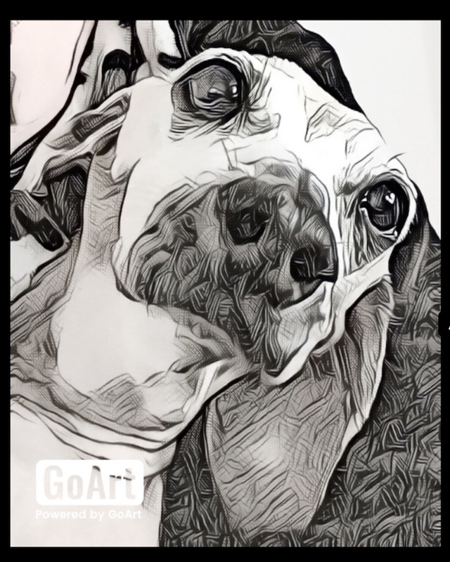 [Image: IMG-9455.jpg]