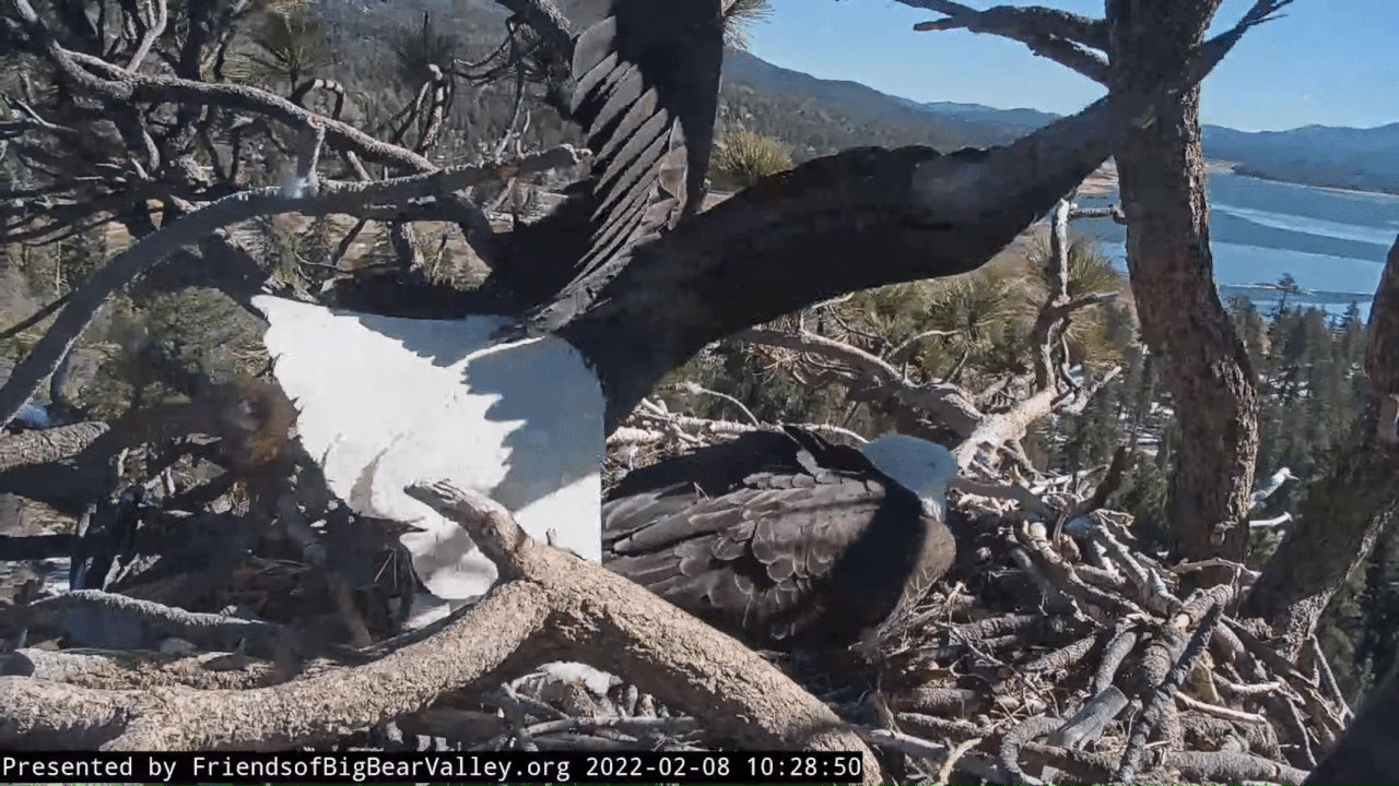 Webp.net-gifmaker (3)