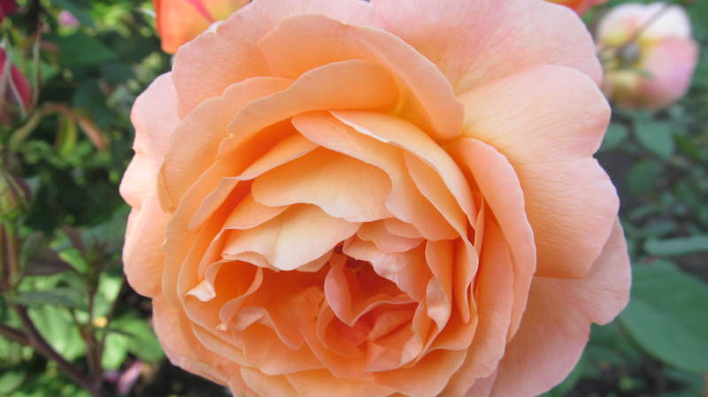 062