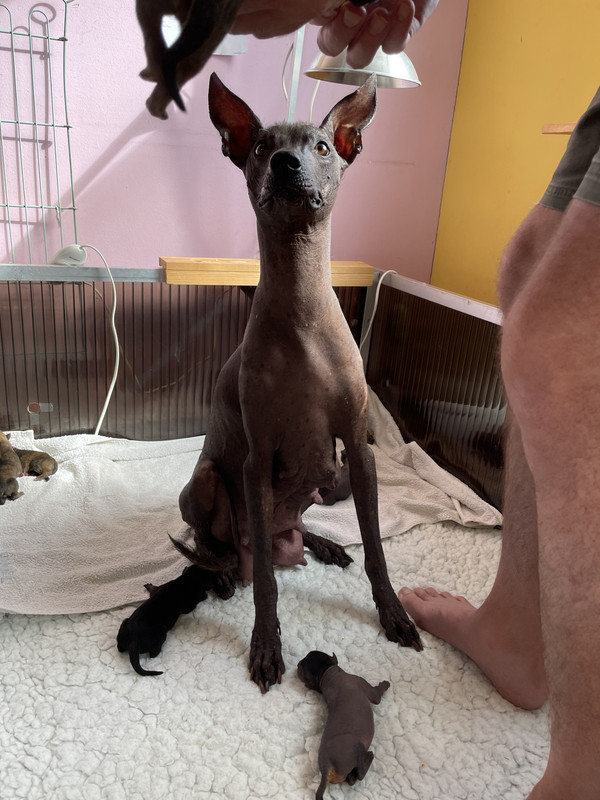 5E321991-AD68-498C-9E83-FA2BFC822EE5