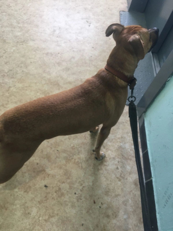 18CFEFC1-C9F5-4C8A-BAD7-2B5DED7B2B3E