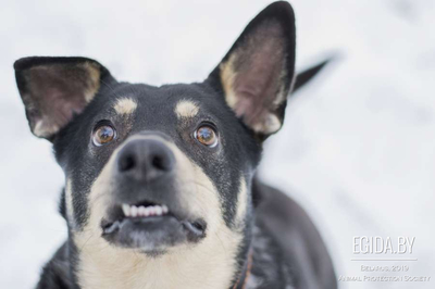 2346FC80-4660-4547-9DB4-A9F5DF52550E