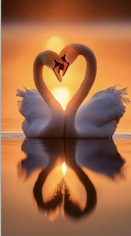 f40df367aa61e1b2199c3a4daa2e7643