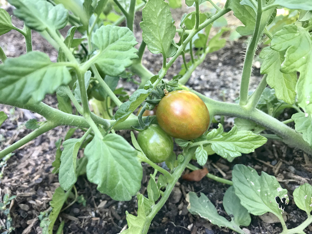 F0352464-1087-472C-861D-C6DF3BD84823