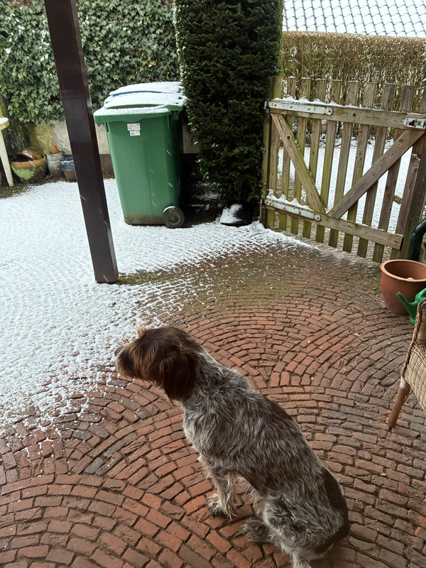 2026 19 02 Claire koud IMG 5493 (002)