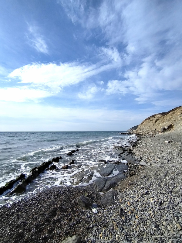 IMG_20230309_153958_edit_29595755955167