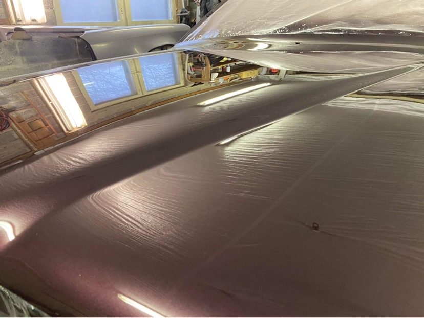 878058EF-FCFB-4425-8C22-42930A214539