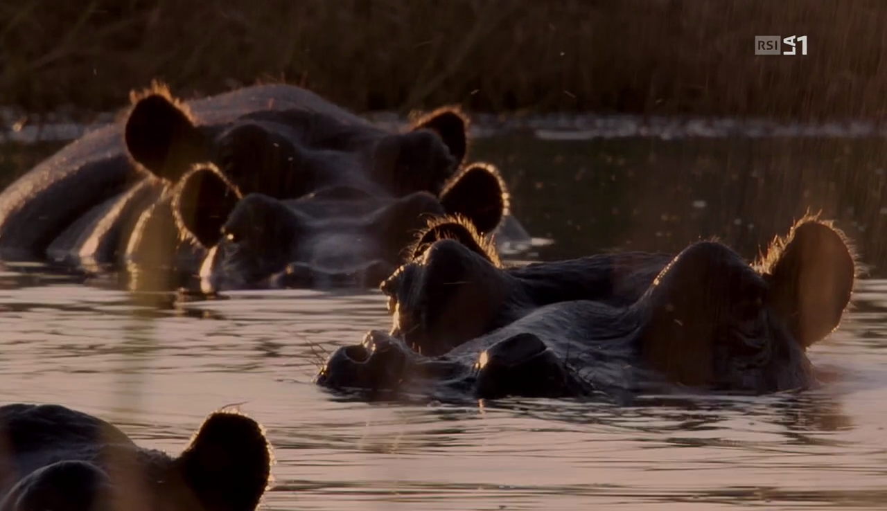 vlcsnap-2017-02-13-17h55m48s633