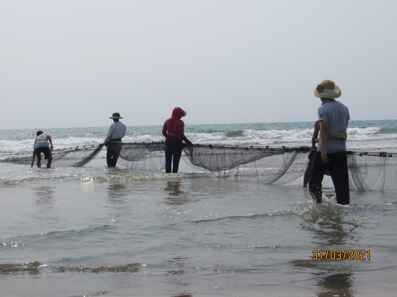 [Image: IMG-8303-resize.jpg]