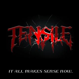 Tensile - It All Makes Sense Now (2019).mp3 - 320 Kbps