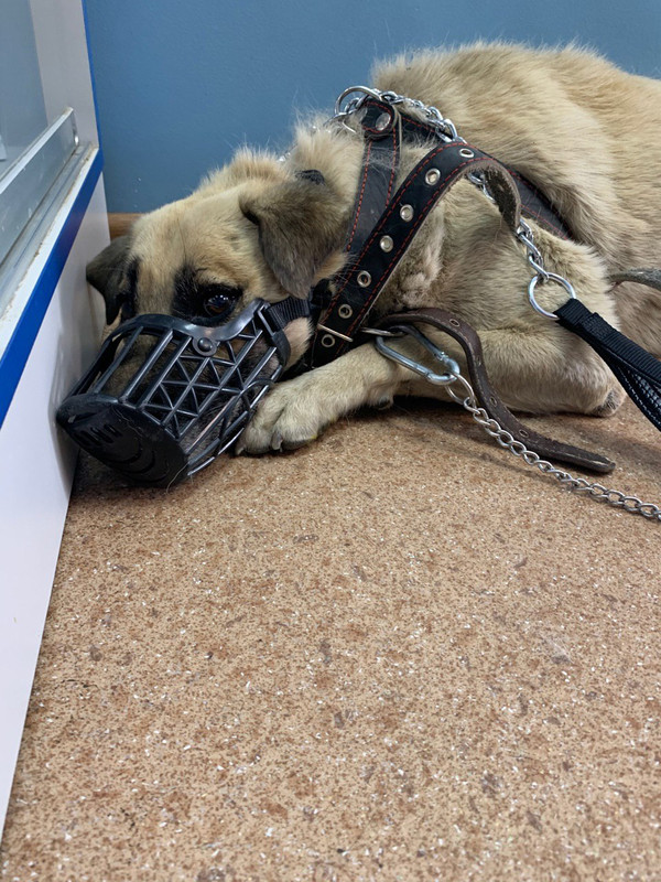 DEA0C8B0-7804-4BF5-B6C8-9DDE1E25D7C1