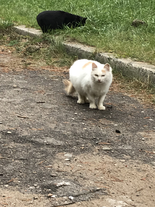 0D00DB3C-600C-435D-B57A-3704329EE63A