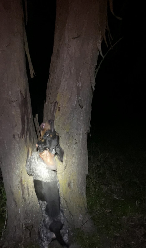 31753873-C62F-4254-BDC2-0500CD070A8C