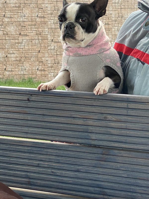 EAD842D4-A532-4789-8532-71AD71B98572