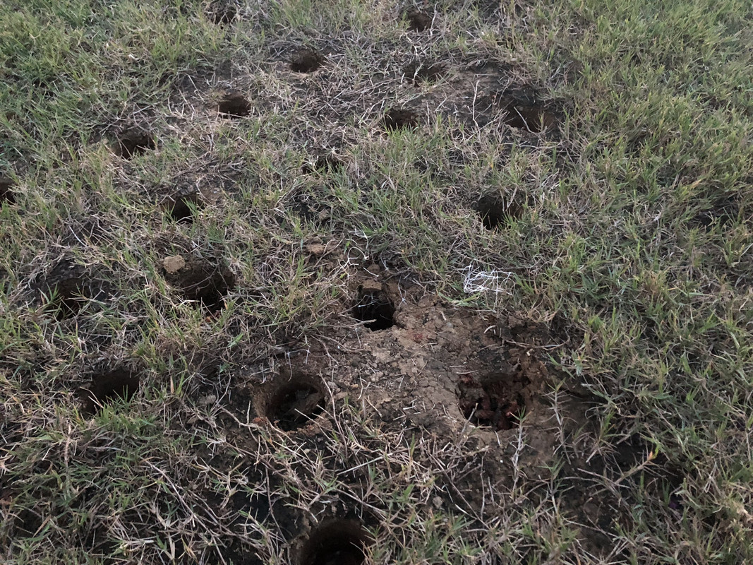 55D68E0C-82B9-41EC-BAC6-23BFE4828EDC