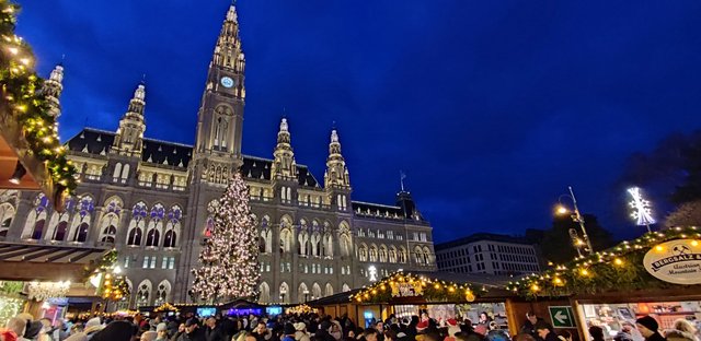 Adios Praga, hola Mercado del Ayuntamiento de Viena y concierto - Viena - Bratislava - Praga, Navidad 2024 (20)