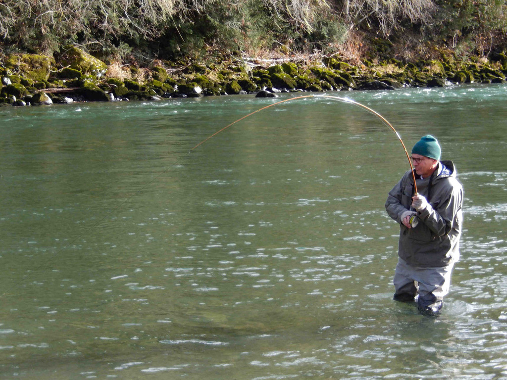 D3DA224A-49B3-4D76-BEF5-A0D58FA2F4ED_1_105_c