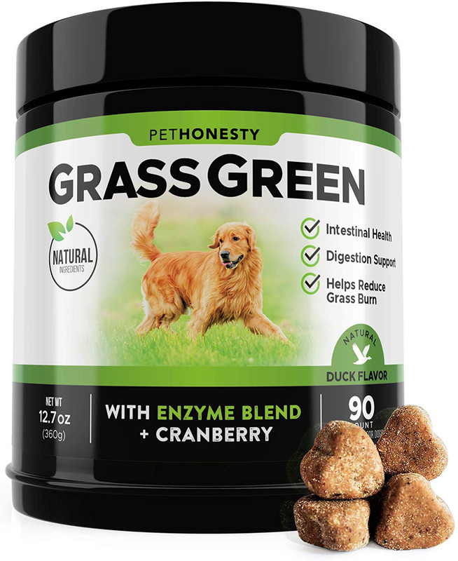 Pet urine neutralizer Lawn Care Forum