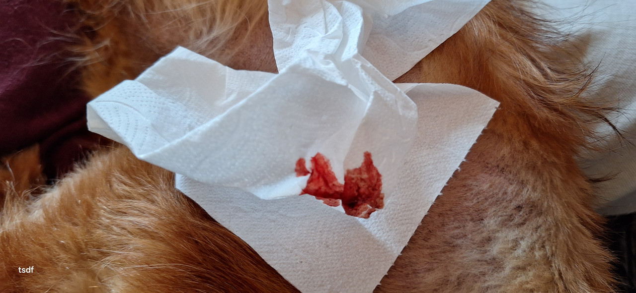 [Image: 20250330-112614.jpg]