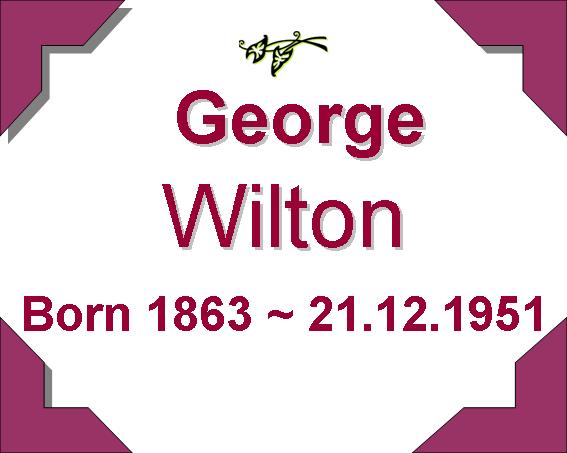 George Wilton
