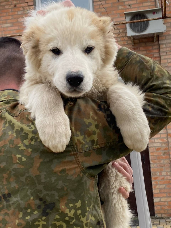 F9E6BD7D-9083-4D2C-8C7E-4E1089BAA7F6