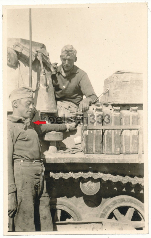 Foto Afrika Korps Panzermann mit Vögelchen am Pa