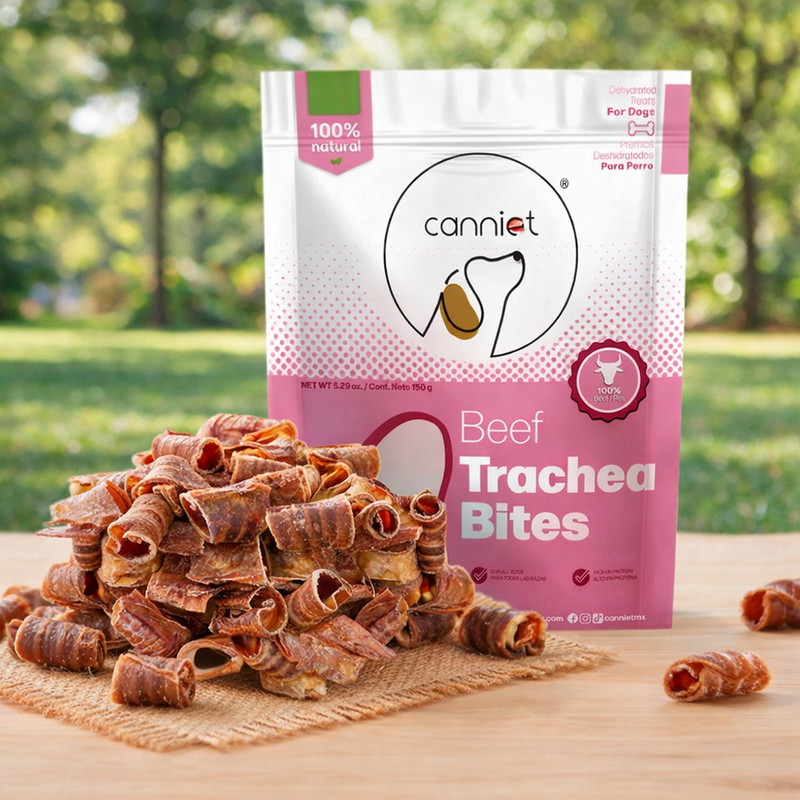 Trachea Bites - Bocados de tráquea de res