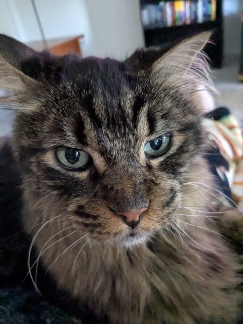 Junior-20250622-222912598-MP-1.jpg