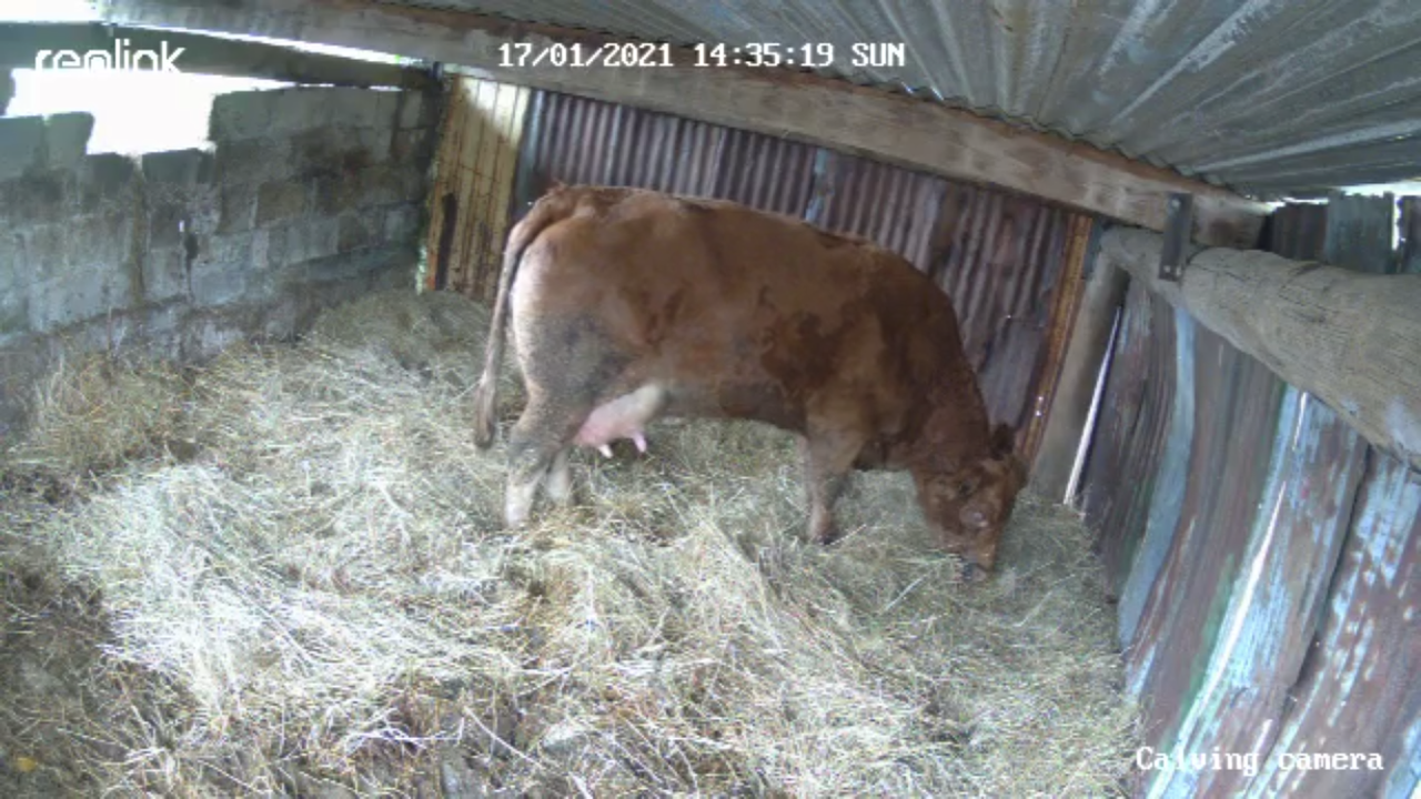 B747F622-E49D-4735-A49F-674690A7F5CA