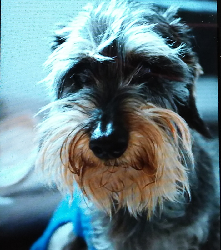 [Image: 20240323-140216.jpg]